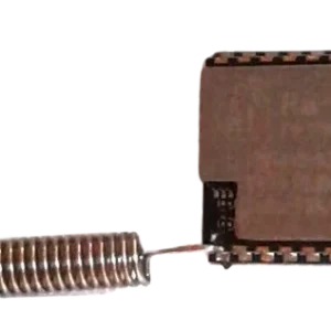 Module lora avec antenne fouet